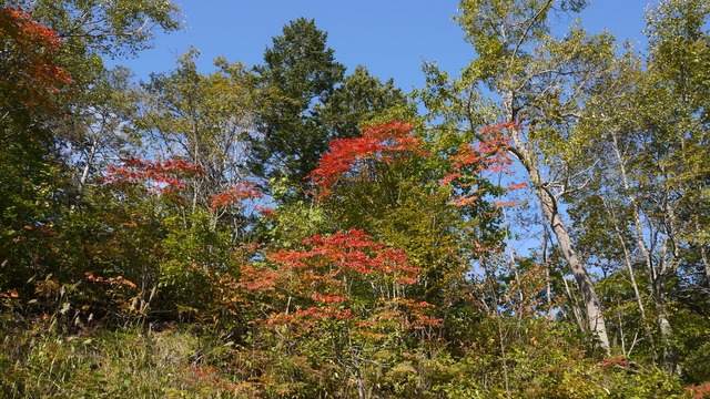 P1060371