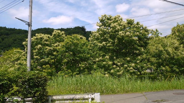 P1080818