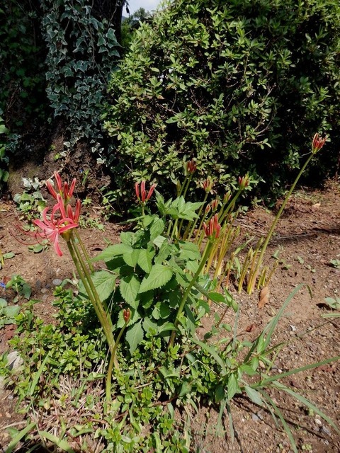 P9120018
