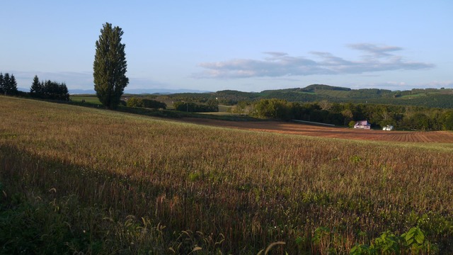 P1060526