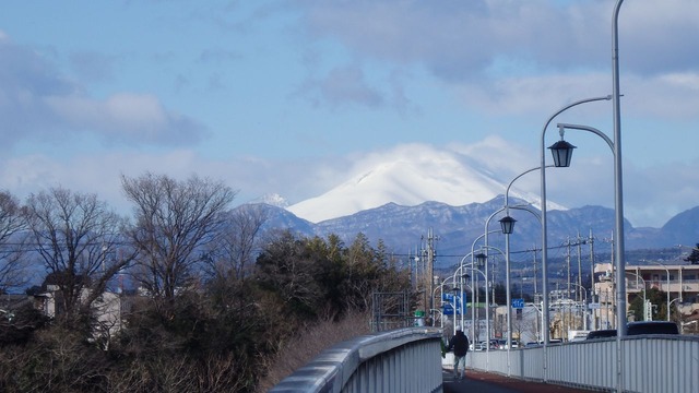 P2010006