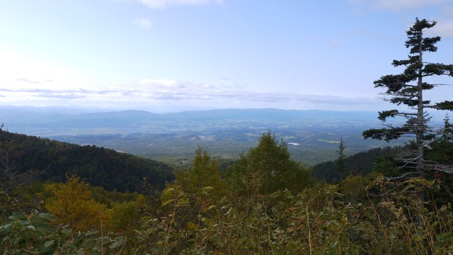 P1060461