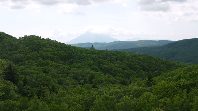 P1050802