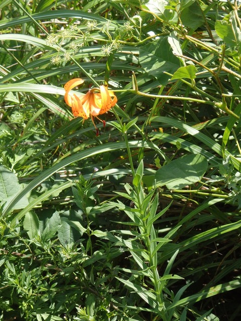 P8060456