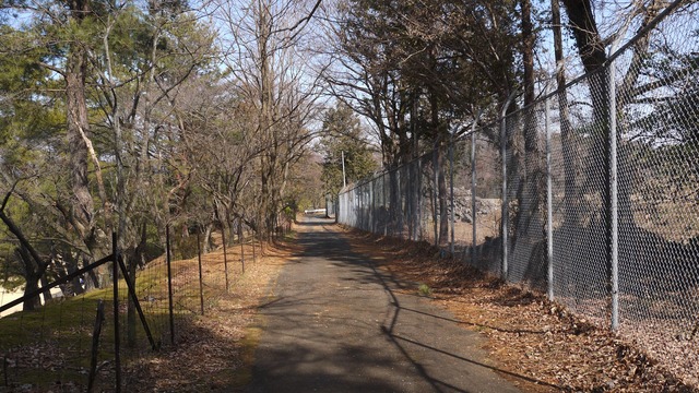 P1080335