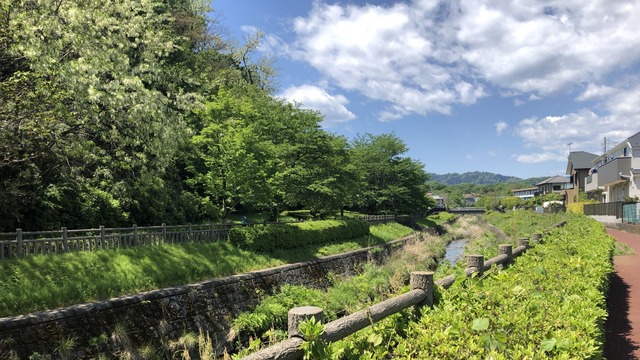 IMG_4113