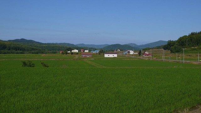 P1070078