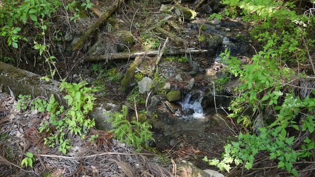 P1080569