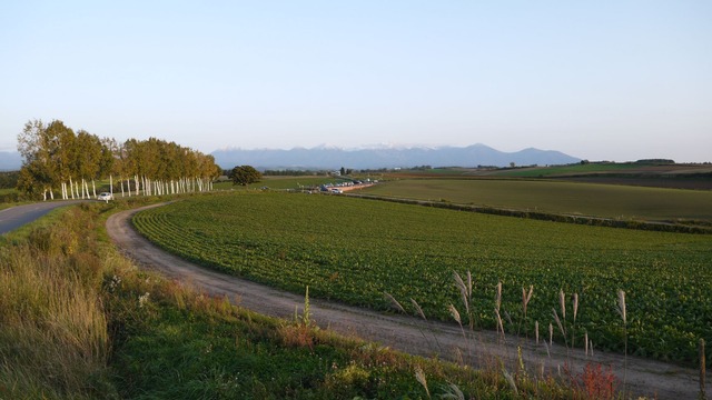 P1060553