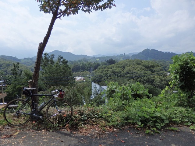 P9050026