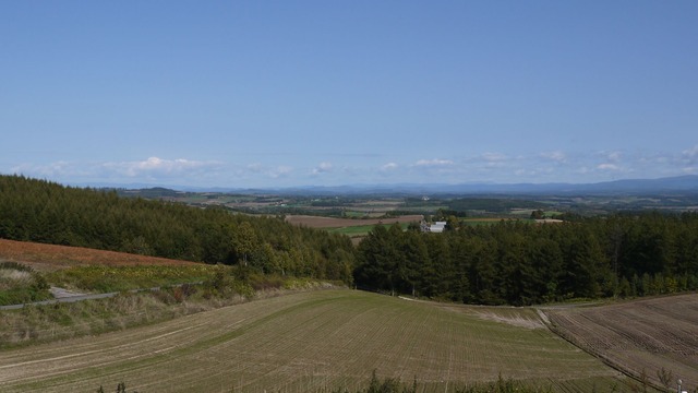 P1060419