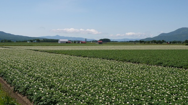 P1050767