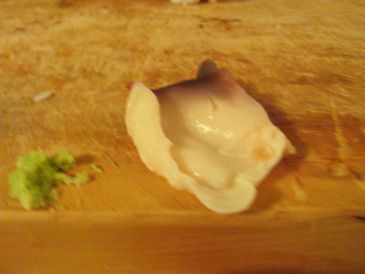 築地の寿司屋、酢飯屋の新鮮な魚貝