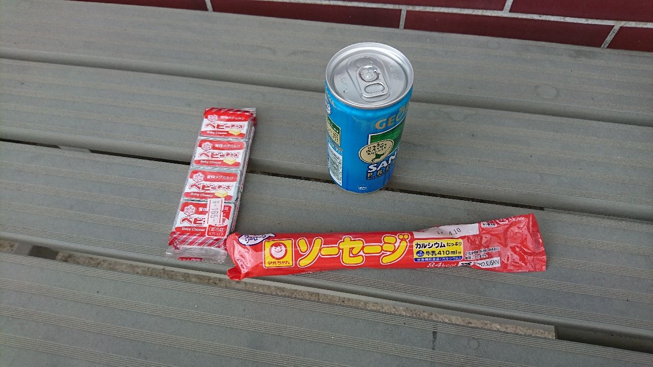 4日目 長万部から八雲町浜松 33km 海岸沿いの日記 日本一周マラソン備忘録 4日目 長万部から八雲町浜松 33km 海岸沿いの日記 日本一周マラソン備忘録
