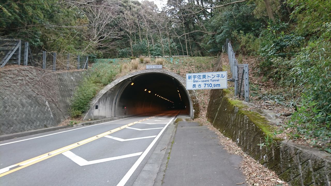 9日目 静岡県伊東市宇佐美から神奈川県小田原市東町 41km 海岸沿いの日記 日本一周マラソン備忘録 9日目 静岡県伊東市宇佐美から神奈川県小田原市東町 41km 海岸沿いの日記 日本一周マラソン備忘録