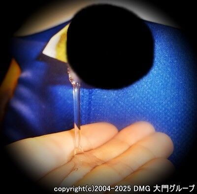 SM調教仕様の変態体操服【DMG大門 Essence\'s Ｓ ブログ】