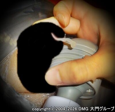 繭の中で漲り続ける被虐願望【DMG大門 Essence\'s Ｓ ブログ】