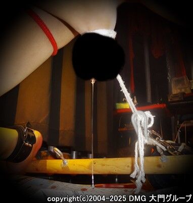 鞭と蝋燭で真っ赤になる家畜の尻【DMG大門 Essence\'s Ｓ ブログ】