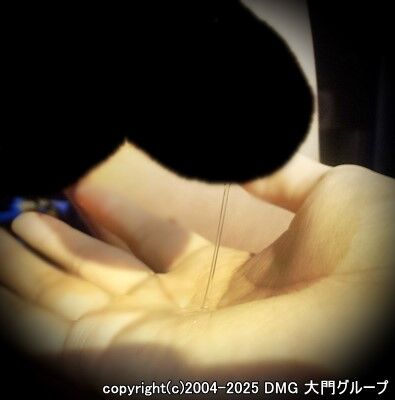 被虐奴隷の局部責め耐久拷問【DMG大門 Essence\'s Ｓ ブログ】