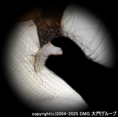 ハンモックの上で悶え狂うムッチリM【DMG大門 Essence\'s Ｓ ブログ】