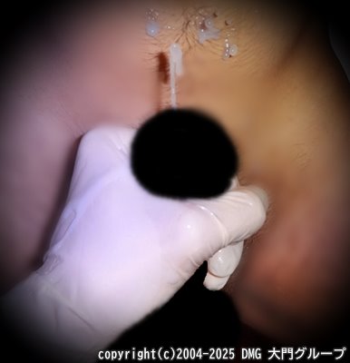 亀頭磨きに鳴き叫ぶ奴隷犬【DMG大門 Essence\'s Ｓ ブログ】
