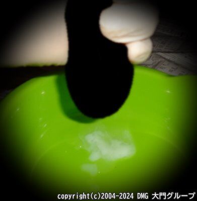 開口器をつけられた家畜奴隷【DMG大門 Essence\'s Ｓ ブログ】