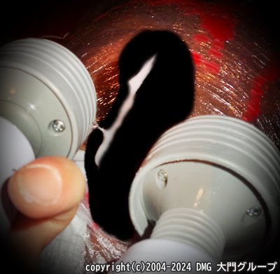 マミープレイで標本にされるブリーフ男児【DMG大門 Essence\'s Ｓ ブログ】
