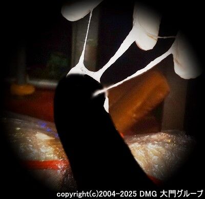 初体験の完全梱包亀頭責め【DMG大門 Essence\'s Ｓ ブログ】