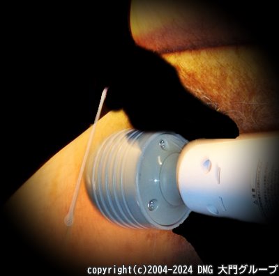 躾けで発情する犬奴隷【DMG大門 Essence\'s Ｓ ブログ】