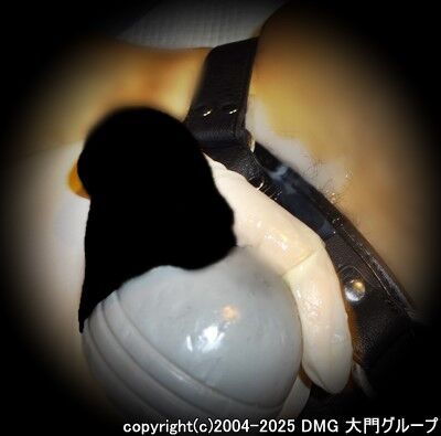 羞恥家畜奴隷へ改造完了【DMG大門 Essence\'s Ｓ ブログ】