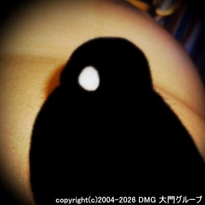 苦悶と羞恥のオムツ栓拡張【DMG大門 Essence\'s Ｓ ブログ】