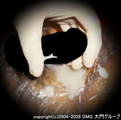 憧れのマミフィケーションプレイ【DMG大門 Essence\'s Ｓ ブログ】