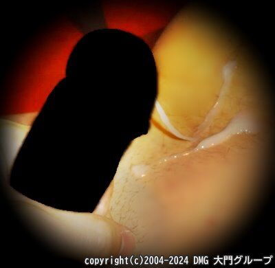 三角木馬の虜になるガチブトM【DMG大門 Essence\'s Ｓ ブログ】