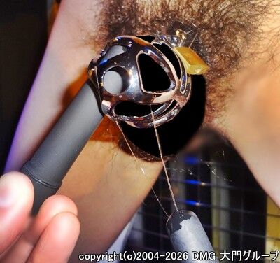 鎖に囚われた磔奴隷【DMG大門 Essence\'s Ｓ ブログ】