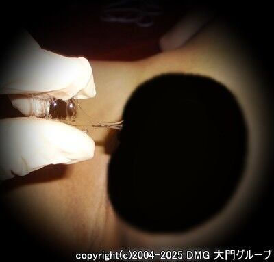 雄汁湧き出るケツイキ訓練【DMG大門 Essence\'s Ｓ ブログ】