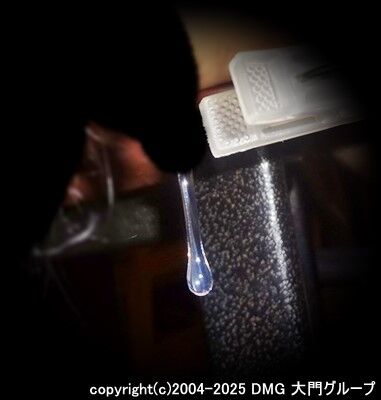 前戯を終えて完全梱包拘束へ【DMG大門 Essence\'s Ｓ ブログ】