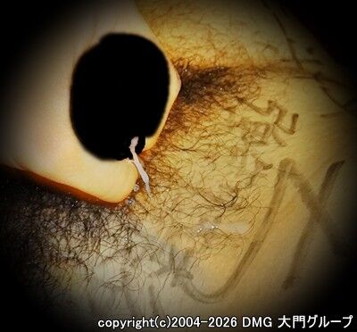 恥辱と淫字にまみれるM【DMG大門 Essence\'s Ｓ ブログ】
