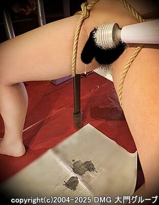 クネクネしている身体に汁が揺れる、緊縛乳首拷問定期調教で汁出し②【DMG大門 Essence\'s Ｓ ブログ】
