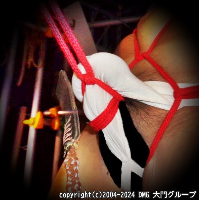 慣らしの調教は緊縛雄玉吊り【DMG大門 Essence\'s Ｓ ブログ】