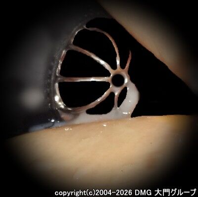 屈辱拘束：袋詰めにされた変態奴隷犬【DMG大門 Essence\'s Ｓ ブログ】