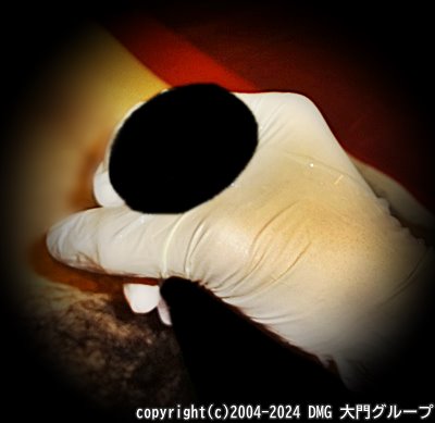 被虐奴隷を欲情させる三角木馬【DMG大門 Essence\'s Ｓ ブログ】
