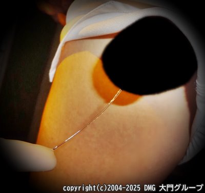白ユニフェチの拷問鍛錬(前編)【DMG大門 Essence\'s Ｓ ブログ】
