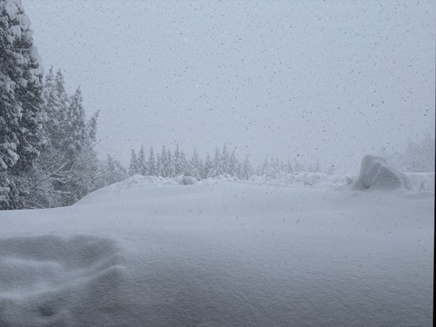 2024-12-28 08.47.17のコピー