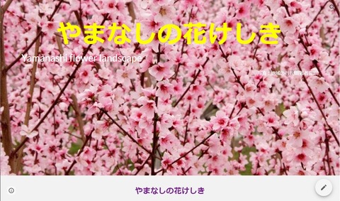 やまなしの花けしき