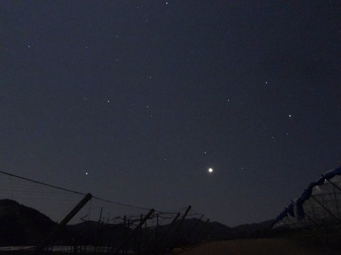 95626538_2549990708583175_6085425070191149056_o