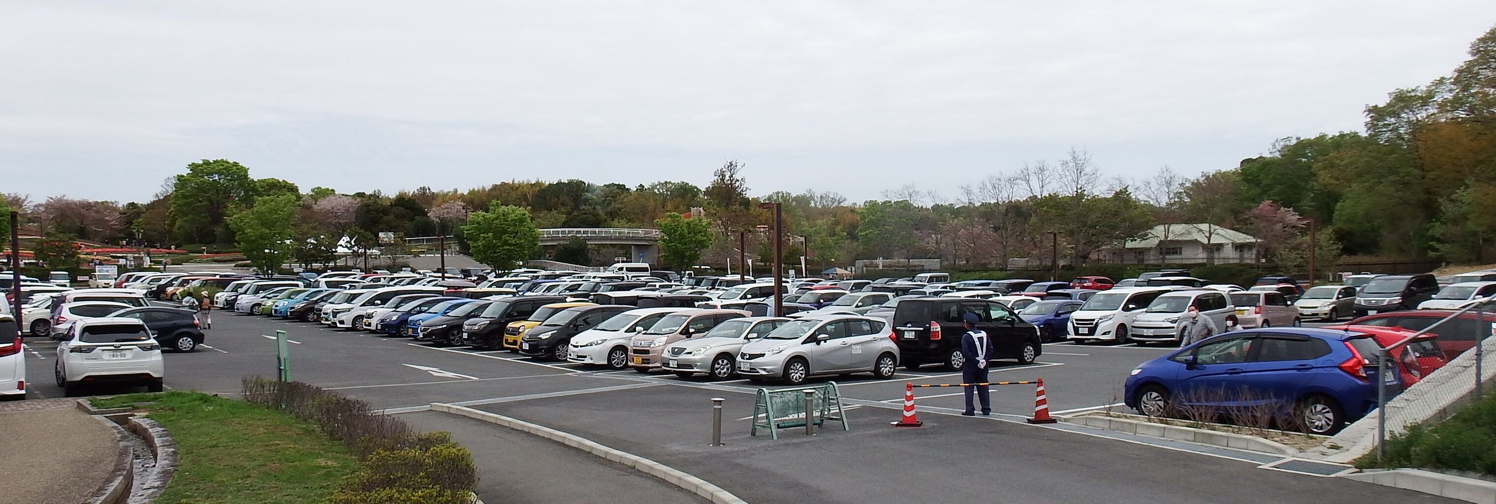 第8回チューリップフェア開催の馬見丘陵公園散歩 ジョニーの独り言