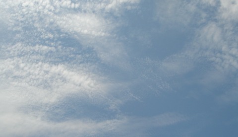 台６号の去って明けたる秋の空２３０８１５