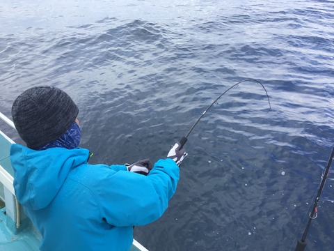 C56D1ACB-011D-4B92-B150-9A6EBDA44DE8