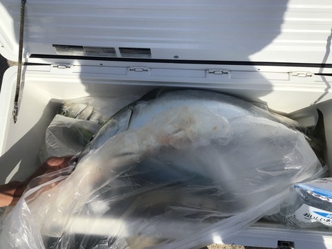 814247C0-B3C4-4BDD-A9C4-9B58108E1592