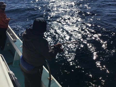 8EEFFB0F-C6C3-443A-8398-7BAFD29774D5